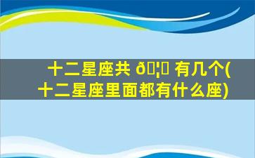 十二星座共 🦋 有几个(十二星座里面都有什么座)